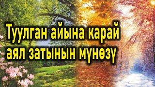 Туулган айына жараша аялзатына мүнөздөмө