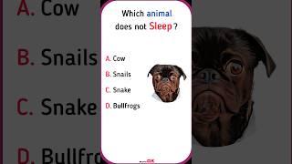 General Knowledge | #shortsfeed #shorts #gkshorts #gk #shortsvideo #animals