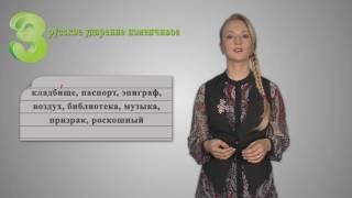 Русский 6 кл Орфоэпия  Повторение изученного в 5 классе