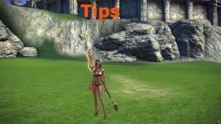 Tera Valkyrie pvp/combo guide