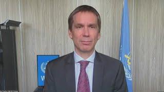 WHO official discusses the global transmission risk of mpox