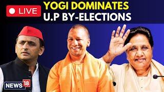 UP Bypoll Election Results Live : BJP Leading In 6 Of Uttar Pradesh's 9 Seats, Akhilesh's SP Wins 1