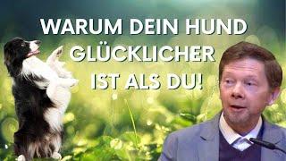 Du bist der Raum, nicht die Form! Eckhart Tolle deutsch