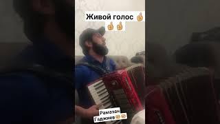 Даргинская Песня На Гармошке @Рамазан Гаджиев 