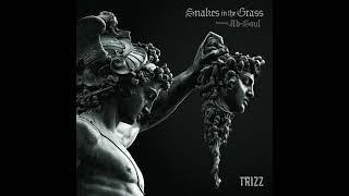 Trizz & Ab-Soul - Snakes In The Grass (AUDIO)