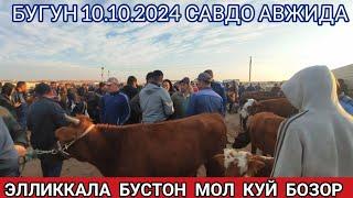 10 октября 2024 ЭЛЛИККАЛА БУСТОН МОЛ КУЙ БОЗОР НАРХИ АВЖИДА