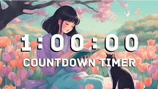 1 Hour Countdown Timer With Playful Lo-Fi Music and Alarm ⏰