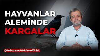 Hayvanlar aleminde "Kargalar" | Prof. Dr. Mümtaz’er Türköne