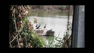 Hiking Tin Shui Wai