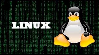 Linux - zip gzip bzip2 tar полезные команды