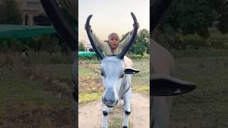 Bhoot in action #funny
