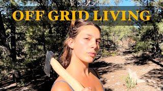 Living Off-Grid (Episode 3 | Outdoor Kitchen and Shed Update)