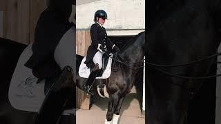 Ready to don the SPARKLES again on Saturday #gdhburyfarm#horse#horsesoftiktok#horsegirl#horselover