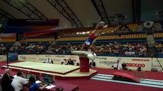 KHACHATRYAN Vigen (ARM) - 2018 Artistic Worlds, Doha (QAT) - Qualifications Vault 1