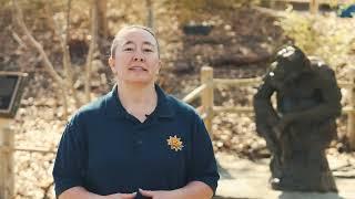 Beyond the Barrier - Chimpanzee Care | Sedgwick County Zoo