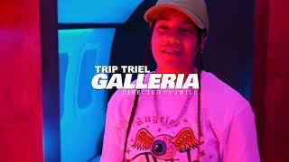 Gallería - TRIP TRIEL