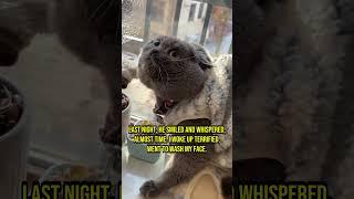 These Cats Witnessed an Unimaginable Horror - Chapter 52 #cat #creepy #creepypasta #creepystories