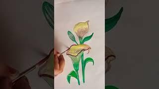 A simple lily flowers drawing