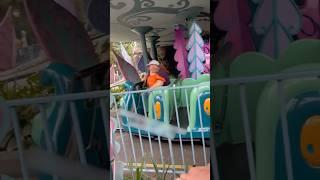 Disneyland Karen Tries to Board Ride From Exit