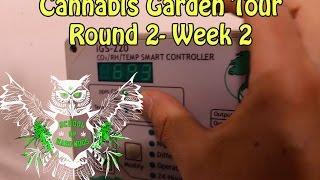 Cannabis Garden Tour, Round 2 - Week2 | Room Temperature | CO2  | Humidity