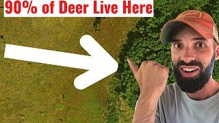 How to Find Deer Hunting Spots FAST