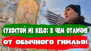 07 Отличие сухарника из кело