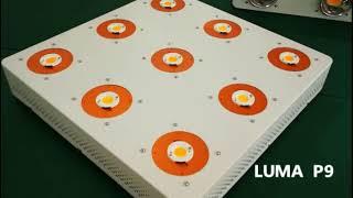 LUMA CREE CXB 3590 COB LED Grow Lights