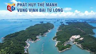 Phát huy thế mạnh vùng vịnh Bái Tử Long