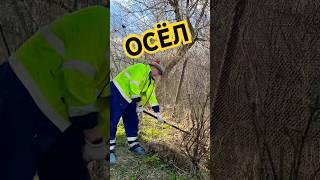 Дачный сезон #дача #огород #рассада #парник #сад #садоводство #грядки #юмор