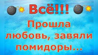 Деревенский дневник очень многодетной мамы \ ВСЁ!!! Прошла любовь, завяли помидоры... \ Обзор