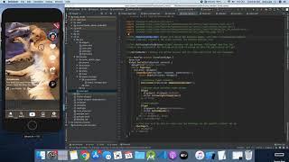 Flutter Tik Tok Clone