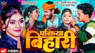 #video -पकिया बिहारी - #selfie lal yadav- #lawrence #sarkar - #pakiya #bihari - #bhojpuri #song