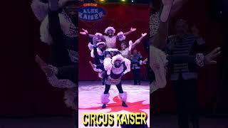 Circus Alex Kaiser