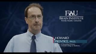 FAU Faculty Vignette - Howard Prentice, Ph.D.