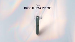 Tips IQOS ILUMA PRIME