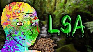 The Psychedelic Plant Seeds - LSA