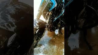 washing the Black dragon  (duke390bs6)