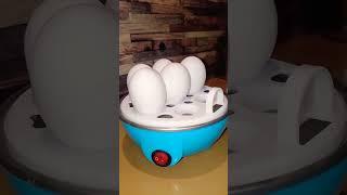 blue electric egg boiler ️ very usefull machine 