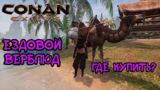 Как вывести ездового верблюда? Где купить верблюда? Conan Exiles. Age of War.