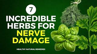 7 Incredible Herbs For Nerve Damage (Prevent Neuropathy)