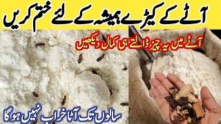 Smartly save Ur money & time with 1 thing how to store wheat flour at home long time |kitchen hacks