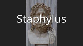 Staphylus