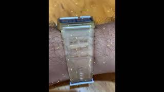 CASIO - Micro cosmos