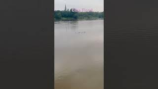 Hochwasser Germany 2024.Dresden Elbe River#Dresden#germany #river #flood #rain