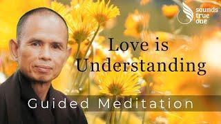 Mindful Discoveries with Thich Nhat Hanh | Love is Understanding