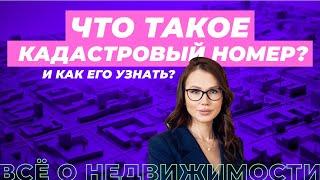 Кадастровый номер: что такое и как его узнать?