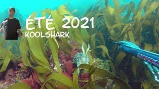 Chasse sous marine - Eté 2021 (Finistère/Bretagne)