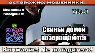 Мошенники звонят по телефону / Продам свиней, заработаю миллион! ( сборник ).