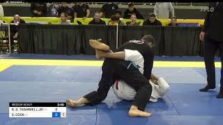 Nogueira Sweep