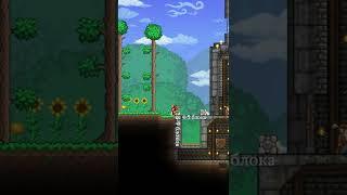 Как легко защитить свою базу в Terraria?